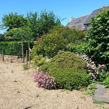 Le Petit Cottage Entre Village Et Mer Trélévern Exteriér fotografie