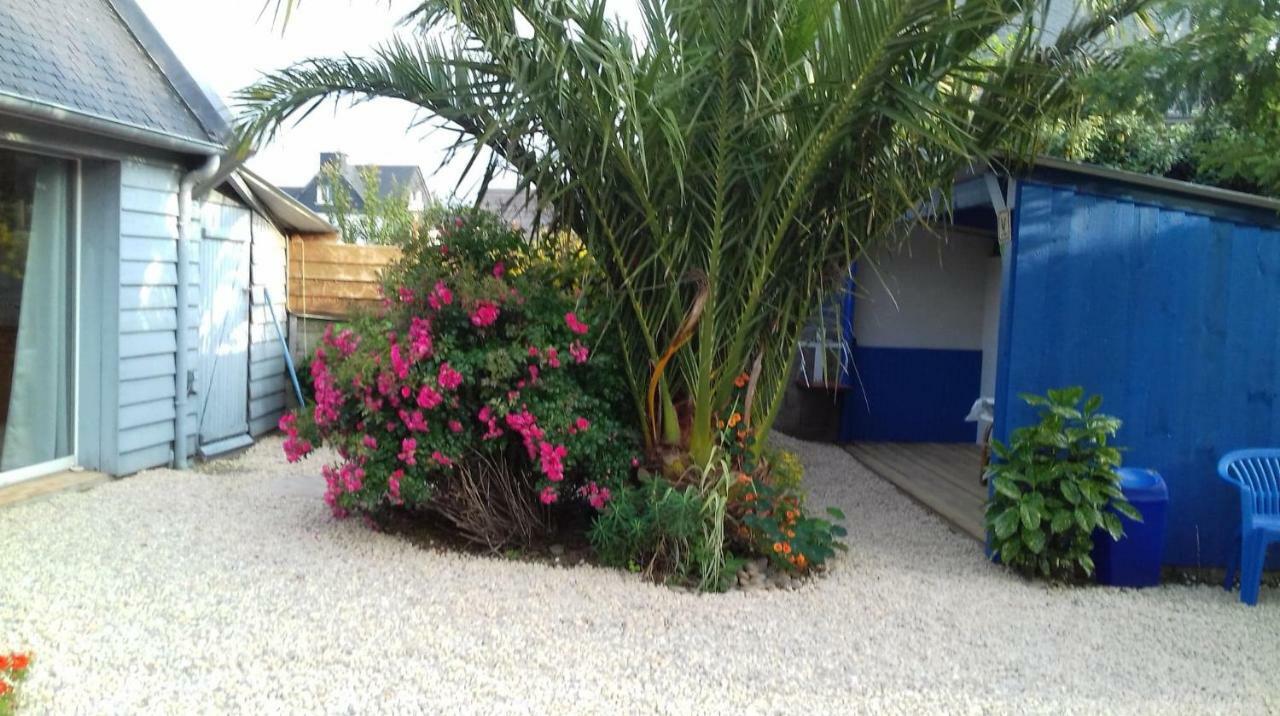 Le Petit Cottage Entre Village Et Mer Trélévern Exteriér fotografie