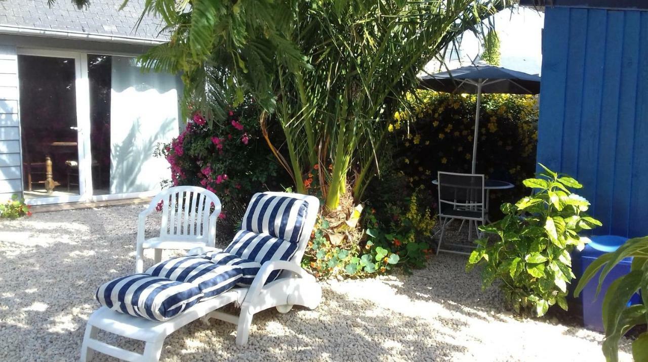 Le Petit Cottage Entre Village Et Mer Trélévern Exteriér fotografie