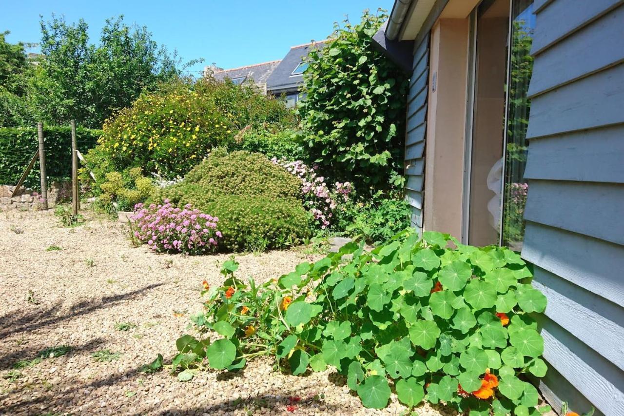 Le Petit Cottage Entre Village Et Mer Trélévern Exteriér fotografie