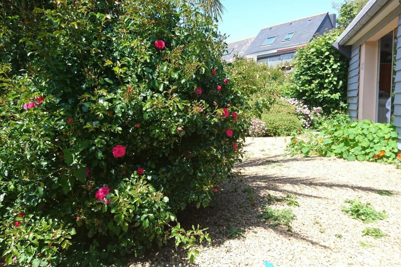 Le Petit Cottage Entre Village Et Mer Trélévern Exteriér fotografie